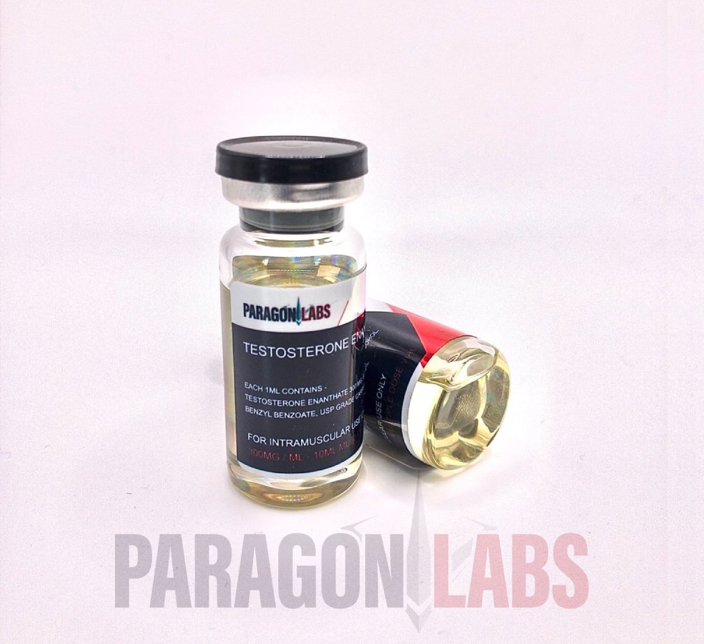 Test E – Paragon Labs
